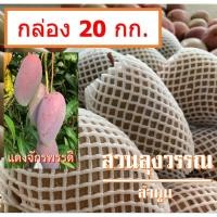 ราคา [ขนาดปาร์ตี้!!] มะม่วงแดงจักรพรรดิ ลูกยักษ์! หวาน หอม อร่อย ขนาดปาร์ตี้จัดกล่องละ 20 กก. ❌ส่งถูก❌ สดจากสวน จ. ลำพูน (11705922084)