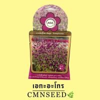 ราคา เมล็ดพันธุ์ ดอกไม้ ดอกบานไม่รู้โรย ต้นสูง ( GOMPHRENA ) (7618159717)