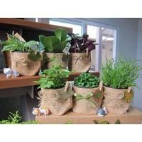 ราคา ถุงผ้ากระสอบใส่ต้นไม้ กระสอบป่าน ขนาด 3 นิ้ว แพ็ค 10 ชิ้น (1816614020)