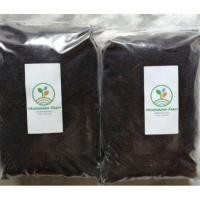 ราคา ขุยมะพร้าวหมักและฆ่าเชื้อ ละเอียด พร้อมใช้ น้ำหนัก 1 KG (6035024951)