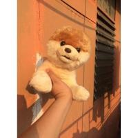 ราคา หมาบลูท่าหมอบ ตุ๊กตามือสอง (7082165194)