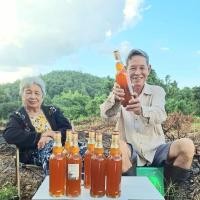 ราคา น้ำผึ้ง น้ำผึ้งป่า น้ำผึ้งแท้ น้ำผึ้งธรรมชาติ น้ำผึ้งเดือนห้า น้ำผึ้งป่าเดือนห้า น้ำผึ้งเเท้100% น้ำผึ้งรุ่งโรจน์ (19472284763)