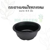 ราคา Mr.Green กระถางบอนไซ ทรงกลม ขนาด 6.5นิ้ว กระถางต้นไม้พลาสติก กระถางมินิมอลสีดำ ตกแต่งสวน (16942360780)