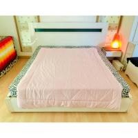 ราคา ที่นอนปิคนิค หรือท๊อปเปอร์ ขนาด 5ฟุต เอิร์ธโทนสีชมพู ยี่ห้อ BeauMonde มือสองขายตามสภาพ สินค้าญี่ปุ่น-เกาหลีแท้ (23661123814)