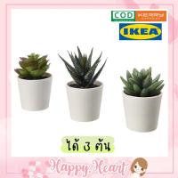 ราคา IKEA Fejka เฟคก้า ต้นไม้ปลอม ต้นไม้ประดิษฐ์ ของแต่งบ้าน minimal มินิมอล [ได้ 3 ต้น] (8541899509)