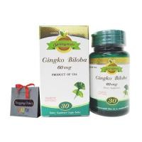 ราคา Springmate Gingko 60mg. สารสกัดจากใบแปะก๋วย ขนาด 30 เม็ด (1639024454)