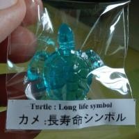 ราคา เต่าแก้ว เต่ามงคล เรซิ่นใส resin turtle (6317417078)