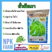 ราคา เจียไต๋ ถั่วลันเตา หมดอายุ 12/2568 จำนวน 60 เมล็ด/ซอง ฝักยาวรี สีเขียวสด ระยะเก็บเกี่ยว 40 วัน (27461610520)