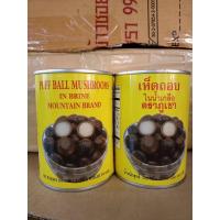 ราคา เห็ดเผาะกระป๋อง ตราภูเขา สดใหม่ 500กรัม (น้ำหนักเนื้อ 250 กรัม) (16034678025)