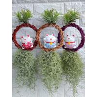 ราคา เคราฤาษี ตุ๊กตาเซรามิค ขนาด 3“ มีวงหวาย (6117229114)