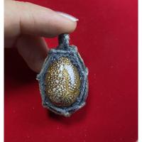 ราคา หอยเบี้ยแก้ถักแก้คุณไสยแก้มนต์ดำ (5074680122)