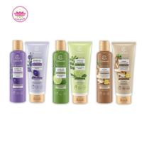 ราคา Catherine Organic Herbal Shampoo 250ml / Conditioner 200g แคทเธอรีน ออร์แกนิก เฮอร์บัล แชมพู / คอนดิชันเนอร์ (28793272648)