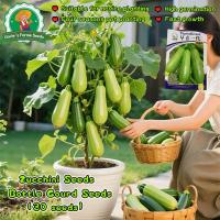 ราคา 30เมล็ด เมล็ดพันธุ์ ซูกินี ประมาณ Zucchini Seeds for Planting Bottle Gourd Vegetable Seeds Plants เมล็ดซูกินี (41673343535)
