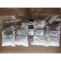 ราคา ชุดทำทำพิมเสนน้ำ 95 cc (6242596708)