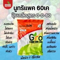 ราคา (1 กิโลกรัม) [ปุ๋ยเกล็ด] นูทริแพค 60เค แท้ ปุ๋ยสูตร 0-0-60 (17598852784)