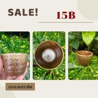 ราคา กระถางเซรามิค กระถางต้นไม้ กระถางต้นไม้มือสอง ลายจุด (26975058214)