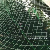 ราคา ตาข่ายคลุมบ่อปลา ปลาคาร์พ ปลาเลี้ยง สระน้ำ อ่างเลี้ยงปลา UV Protection (1528820420)