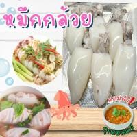 ราคา ‼️ส่งด่วนวันเดียวถึง+ฟรีน้ำจิ้มซีฟู้ด‼️ปลาหมึกกล้วยบางตัวมีไข่ ปลาหมึกสด สด สะอาด พร้อมส่งทั่วไทย (41004717569)