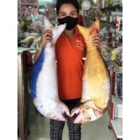 ราคา หมอนปลาทูทอด ปลาทูนึ่งขนาด30นิ้วหรือ75cm. (3795175178)