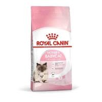 ราคา Royal Canin Starter Mother & Baby Cat โรยัล คานิน อาหารเม็ดแม่แมวตั้งท้อง-ให้นม และลูกแมว 10 kg (29309858388)