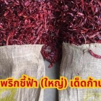 ราคา [ ยกกระสอบ 9-10 กิโลกรัม ] พริกแห้งชี้ฟ้าใหญ่เด็ด พริกแห้งแกงส้ม (40500314413)