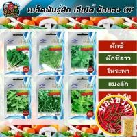 ราคา เมล็ดอวบอ้วน100%ผักซอง เจียไต๋ OP เมล็ดพันธุ์ ผักชี ผักชีลาว โหระพา แมงลัก ผักบุ้งจีน กะเพรา ผักสวนครัว ผักเจียไต๋ ตรา (18471015890)