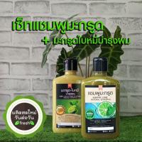 ราคา 300ml เซ็ทคู่ แชมพูมะกรูดสูตรฟองจากธรรมชาติ + มะกรูดใบหมี่ บำรุงผม ออแกนิค (25376982800)