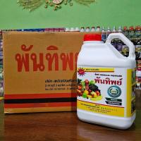 ราคา *ขายยกลัง4แกลลอน* พันทิพย์(ตราหวีทอง) ฮอร์โมนเสริมอาหารพืช สูตรใหม่ล่าสุด 5 ลิตร (43462259909)