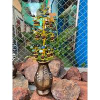 ราคา ต้นไหลน้ำพี้เม็ดน้ำพี้มหาโชคมหาลาภคู่เงินคู่ทองไซร์L (25552935010)