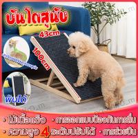 ราคา บันไดสุนัข พับได้ บันไดทางลาดสุนัข ทางลาดสุนัข บันไดสัตว์เลี้ยง บันไดหมา บันไดทางลาด บันไดน้องหมา บันไดสุนัขขึ้นรถ (18690513183)