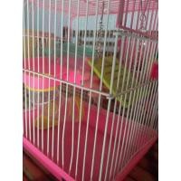 ราคา ขายกรงแฮมสเตอร์มือสอง (12460194870)