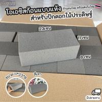 ราคา โอเอซิสก้อนแบบแห้ง โอเอซิสปักดอกไม้ประดิษฐ์ โอเอซิสปักดอกไม้ปลอม โอเอซิสแห้ง โอเอซิส (24588085027)