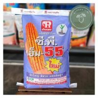 ราคา เมล็ดพันธุ์ข้าวโพดเลี้ยงสัตว์ ซี.พี. M 55 ขนาด3.5หุน 10kg. ฝักใหญ่ สีสวย ผลผลิตสูง (25143174161)