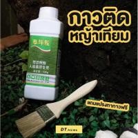 ราคา กาวติดหญ้าเทียม ชุดกาวติดหญ้าเทียมพร้อมส่ง (19332098034)