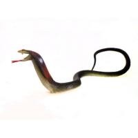 ราคา งูเห่ายางแผ่แม่เบี้ย งูยาง งูไล่นก (1384343787)