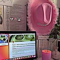 ราคา แฟ้มแบมบี 3 ห่วง (ใน 19 แขน) (17132242943)