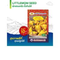 ราคา เมล็ดมะเขือการ์ตูน ภูเขาทอง 50 เมล็ด (5888110755)