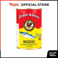 ราคา AYAM อะยัมปลาแมกเคอเรลในซอสมะเขือเทศ 425กรัม [8851826601139] (20471023902)