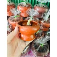 ราคา ตะเกียงน้ำมันพืช ตะเกียงดินเผา กว้าง8cm สูง7.5cm มีไส้ตะเกียง (23689274343)