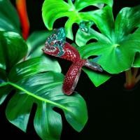 ราคา พญานาค แหวนพญานาค เคลือบแก้ว ไม่ลอกง่าย แหวนชุบ งานสวย ไม่แพง ค้าขายดีมีกำไร ชีวิตรุ่งโรจน์ ทรัพย์สินเงินทองมั่งมี (23660283095)