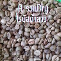 ราคา สารกาแฟโรบัสต้าลาว Dry processบรรจุ1กก. (20768853297)