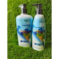 ราคา แชมพู4yl Thailand ของแท้ (12494172020)