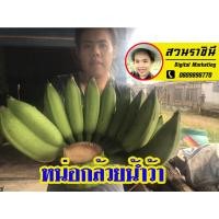 ราคา (เจ้าของสวนขายเอ) หน่อกล้วยน้ำว้าซุปเปอร์ยักษ์ กล้วยยักษ์จากสวนราชีนี กว่า 10ปี ที่ชื่อนี้อยู่กับวงการกล้วยน้ำว้าของไทย (12802139285)