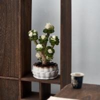 ราคา 7.5,000 คนสรรเสริญเงินกระถางต้นไม้ไม้พืชเงินฉ่ําเก่ากองในร่มห้องนั่งเล่นสํานักงานสก์ท็อปสี่ฤดูกาลที่ดีพืชสีเขียวดอกไม้ 4. (28832493275)