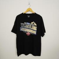 ราคา เสื้อยืด Champion มือสอง รหัส D131 (25862203763)