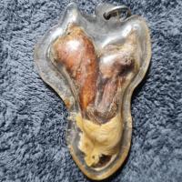 ราคา เดือยงูเหลือม หายากแล้ว พุทธคุณ เสน่ห์ เมตตามหานิยม ค้าขาย คลาดแคล้ว เป็นทนสิทธิ์ดีตามธรรมชาติ รับประกันแท้ตลอดชีพไม่แพง (22020394519)