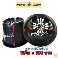 ราคา กระถางต้นไม้พลาสติก6นิ้ว กระถาง6นิ้วราคาส่ง กระถาง6นิ้ว50ใบ (13444253104)