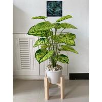 ราคา ต้นไม้ปลอมพลูด่างเหลือง 18 ใบ สูง 70 เซ็น (10638641636)