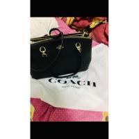 ราคา COACH 2ZIP CHRISTIE CARRYALL HANDBAG (24561539070)