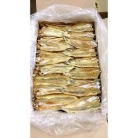ราคา ปลาช่อนทะเลตากแห้ง 1กิโลกรัม ปลาช่อนแห้ง ปลาแห้ง ปลาช่อนบางกลาง 500กรัม ของฝาก ปลาช่อนทะเล 200กรัม (28640646690)